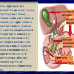 Лечение желчных протоков