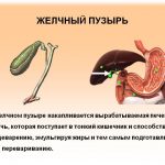 Желчный пузырь сокращен. Что это значит?