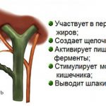 Увеличение желчного пузыря