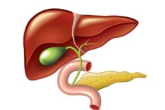 Маленький желчный пузырь