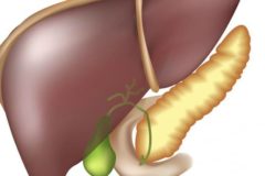 Диета при густой желчи в желчном пузыре