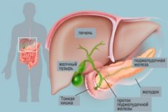 Атония желчного пузыря