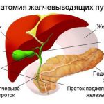 Спазм желчного пузыря симптомы