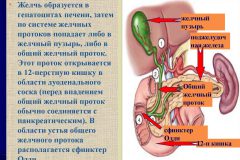 Лечение желчных протоков